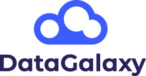 logo vertical datagalaxy 4