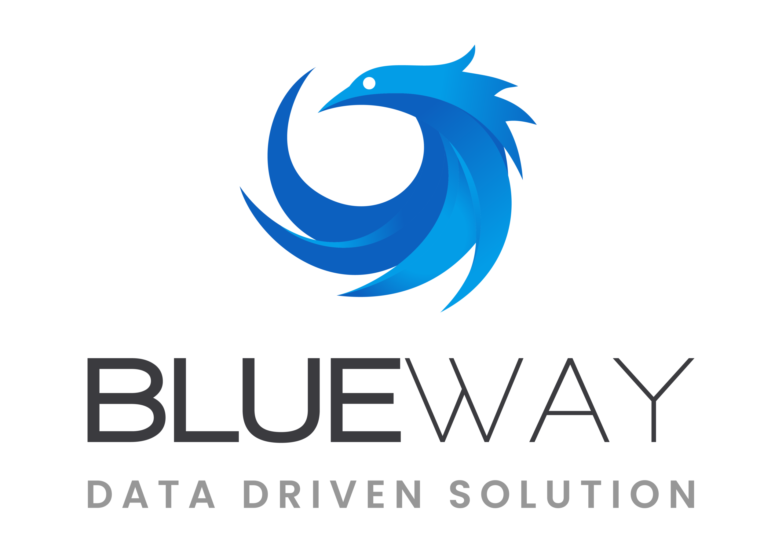 Logo Blueway solution data