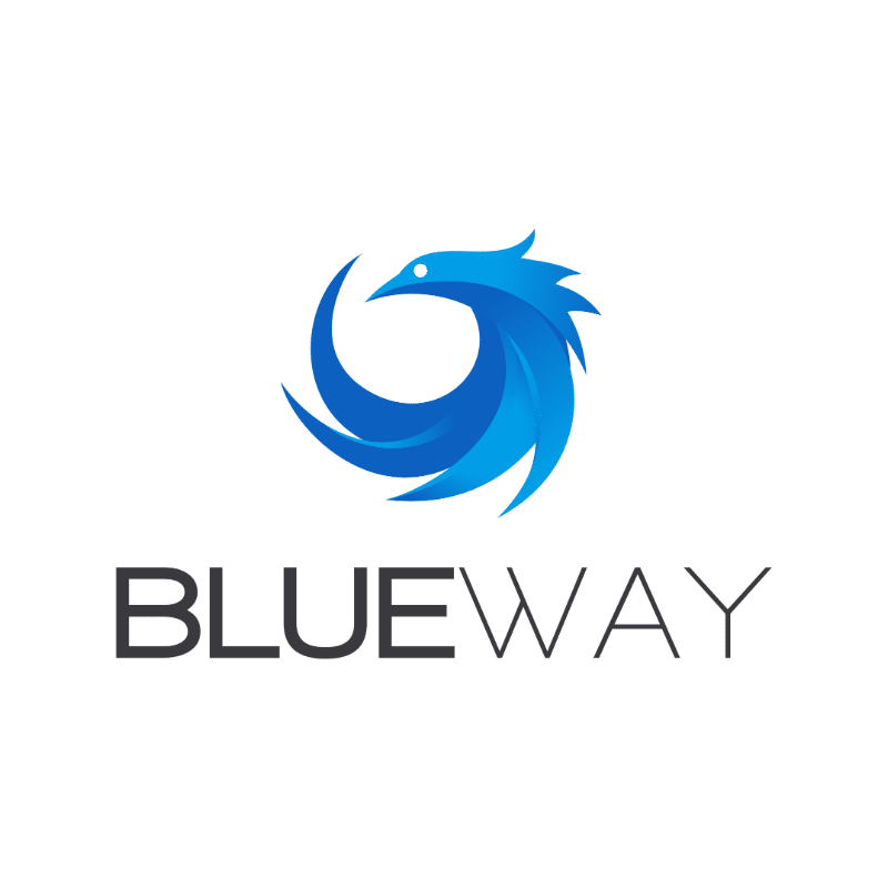 blueway logo partenaire decideom